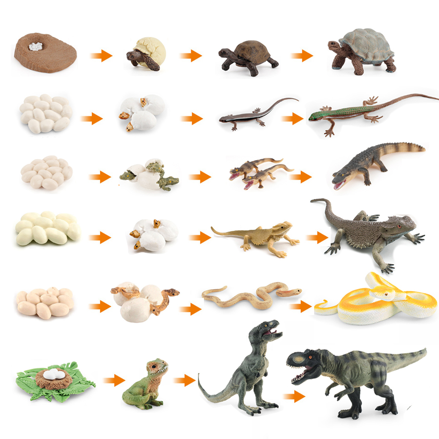 Model Kit Lizard - Simulatie Dinosaurus Hagedis Schildpad Slang Krokodil