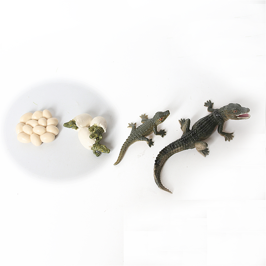 Simulatie Dinosaurus Hagedis S - Model Kit Lizard recensie en prijs